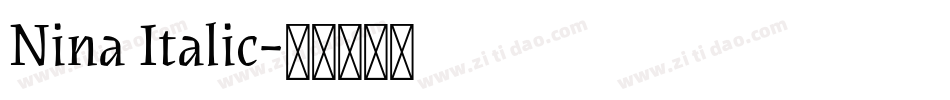 Nina Italic字体转换